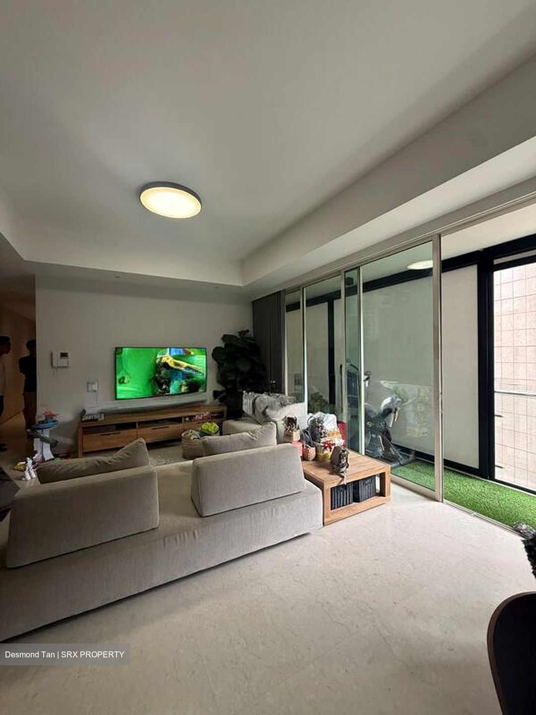 Scotts Highpark (D9), Condominium #499322861